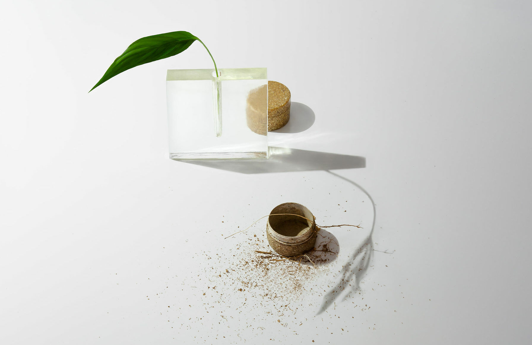 Jars for water-based cosmetics that biodegrade
